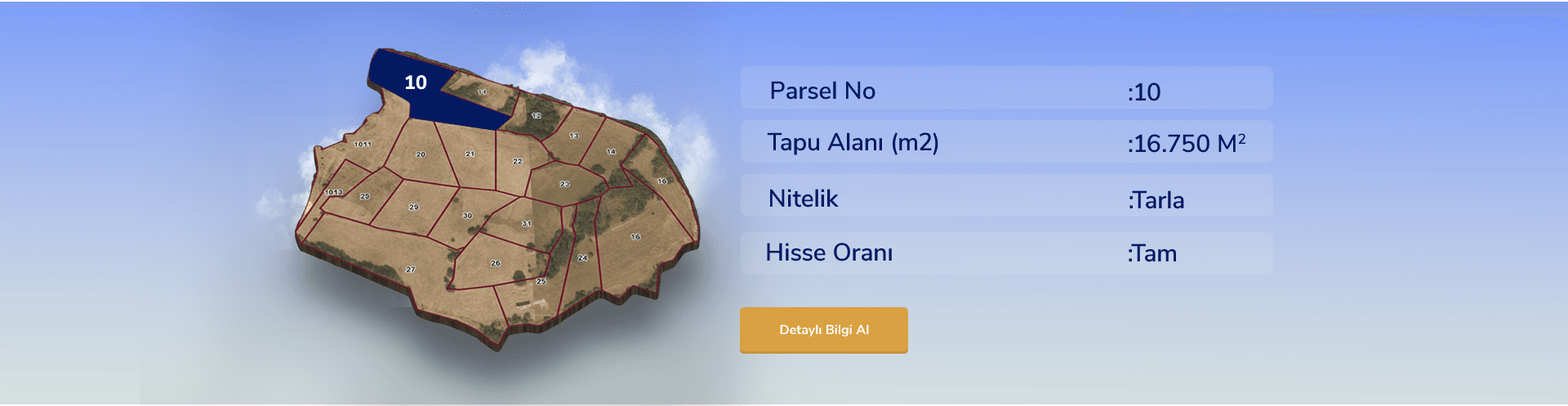 Yatırım Detay Bilgi Grafiği