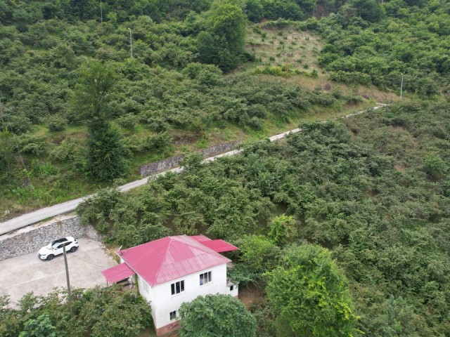 UNMISSABLE LAND FOR SALE IN TRABZON SAYVAN