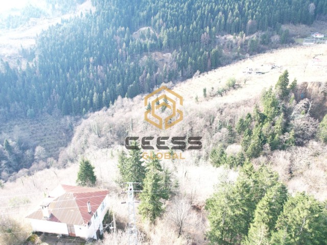 1550 M² LAND FOR SALE IN TRABZON MAÇKA SEVINC