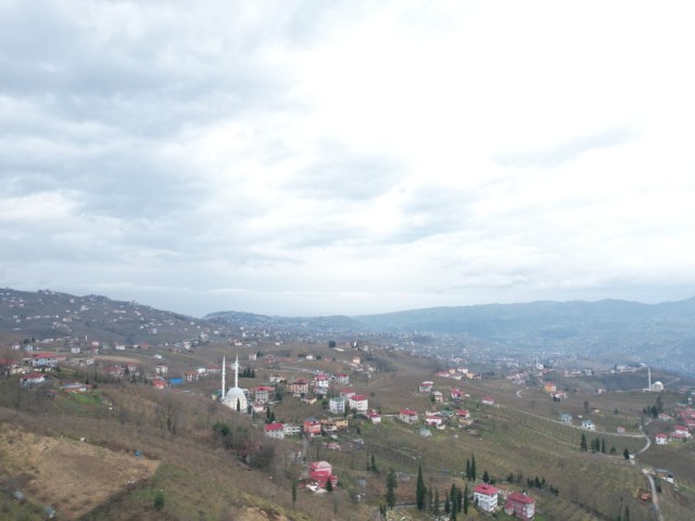 TRABZON AKOLUK'DA DOĞA MANZARALI 1080 m² SATILIK ARSA