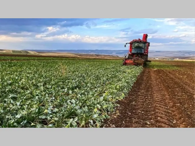 Köye Dönüş Başlıyor: Gençler İçin Tarımda Yeni Bir Sayfa Açılıyor