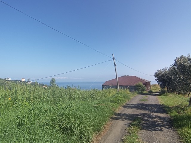 4142 m² SEA VIEW LAND FOR SALE IN TRABZON AKÇAABAT DARICA