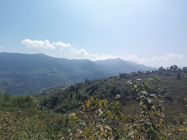 1489 m² LAND FOR SALE IN TRABZON MAÇKA MATARACI