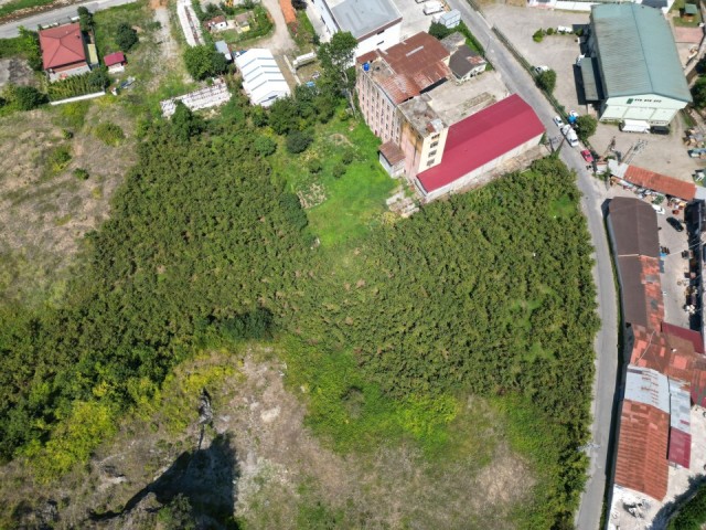 TRABZON YOMRA ÇINARLI'DA 9436 m² SATILIK ARSA