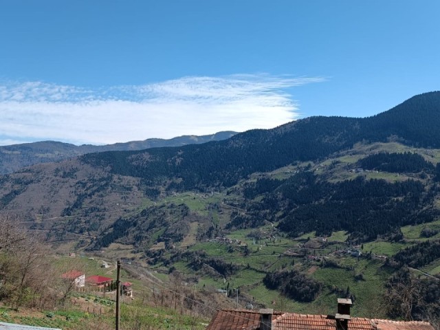 LAND FOR SALE IN TRABZON MAÇKA ZEALLİ